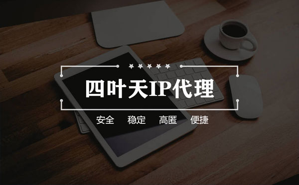 【枣庄代理IP】如何快速搭建代理IP？怎么检查代理的效果？